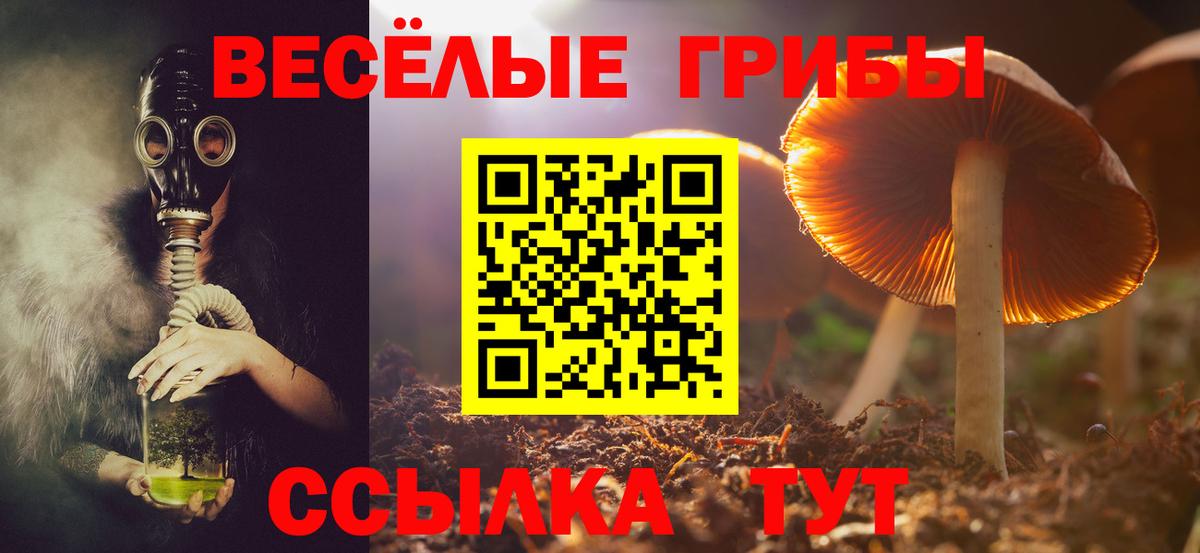 Нягань  Галлюциногенные грибы ЛСД  Галлюциногенные грибы GOLDEN TEACHER  Вход с VPN 